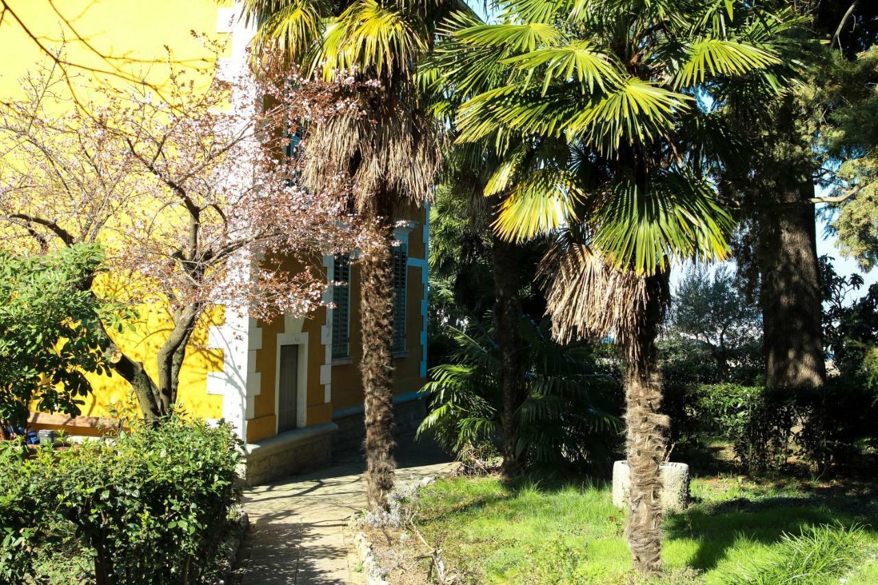 איזולה Apartman Cedra מראה חיצוני תמונה